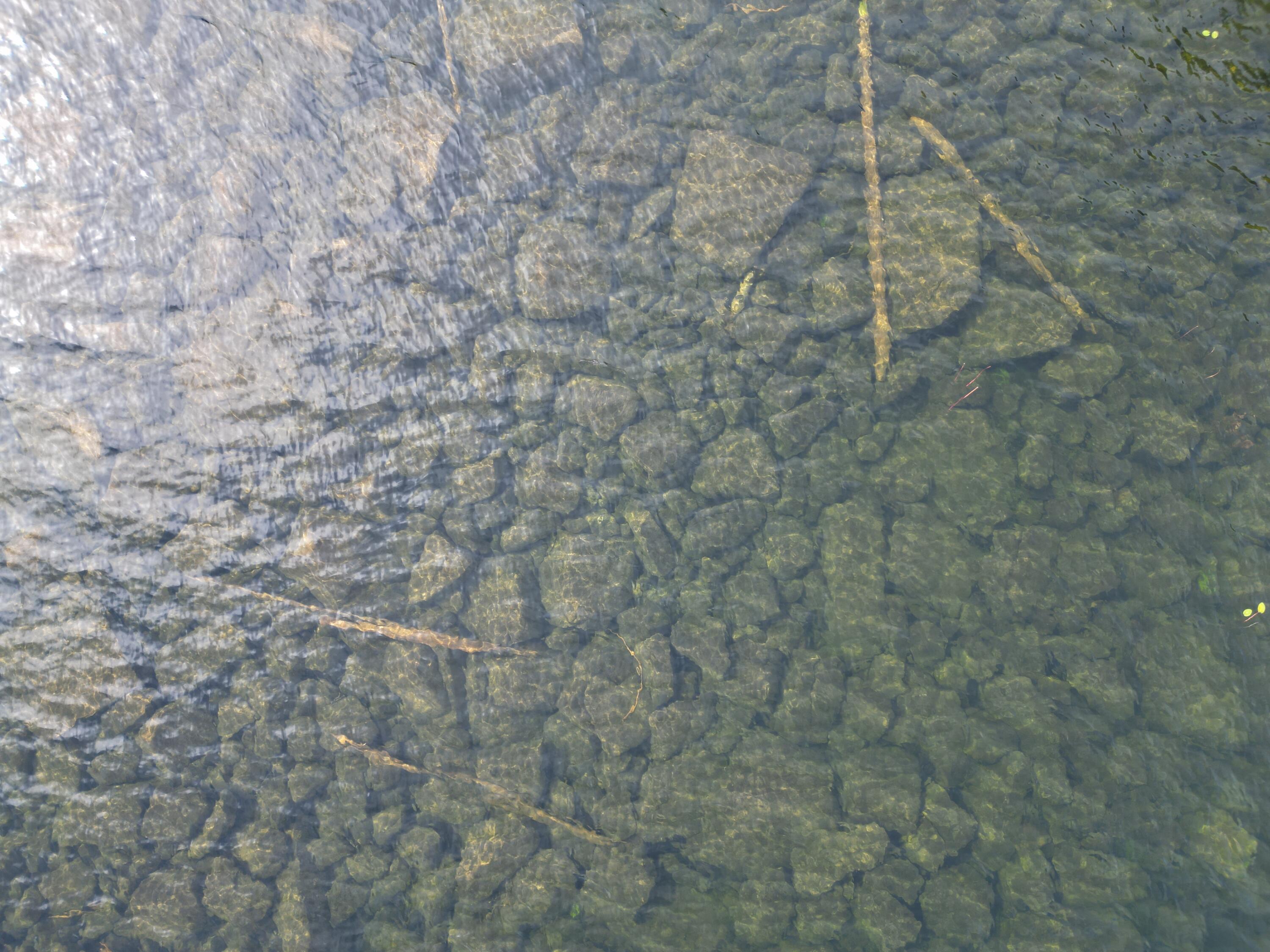 20 Stanhope Mill Road Lincoln, ME 04457 - Photo 7 of 18 DJI_0227