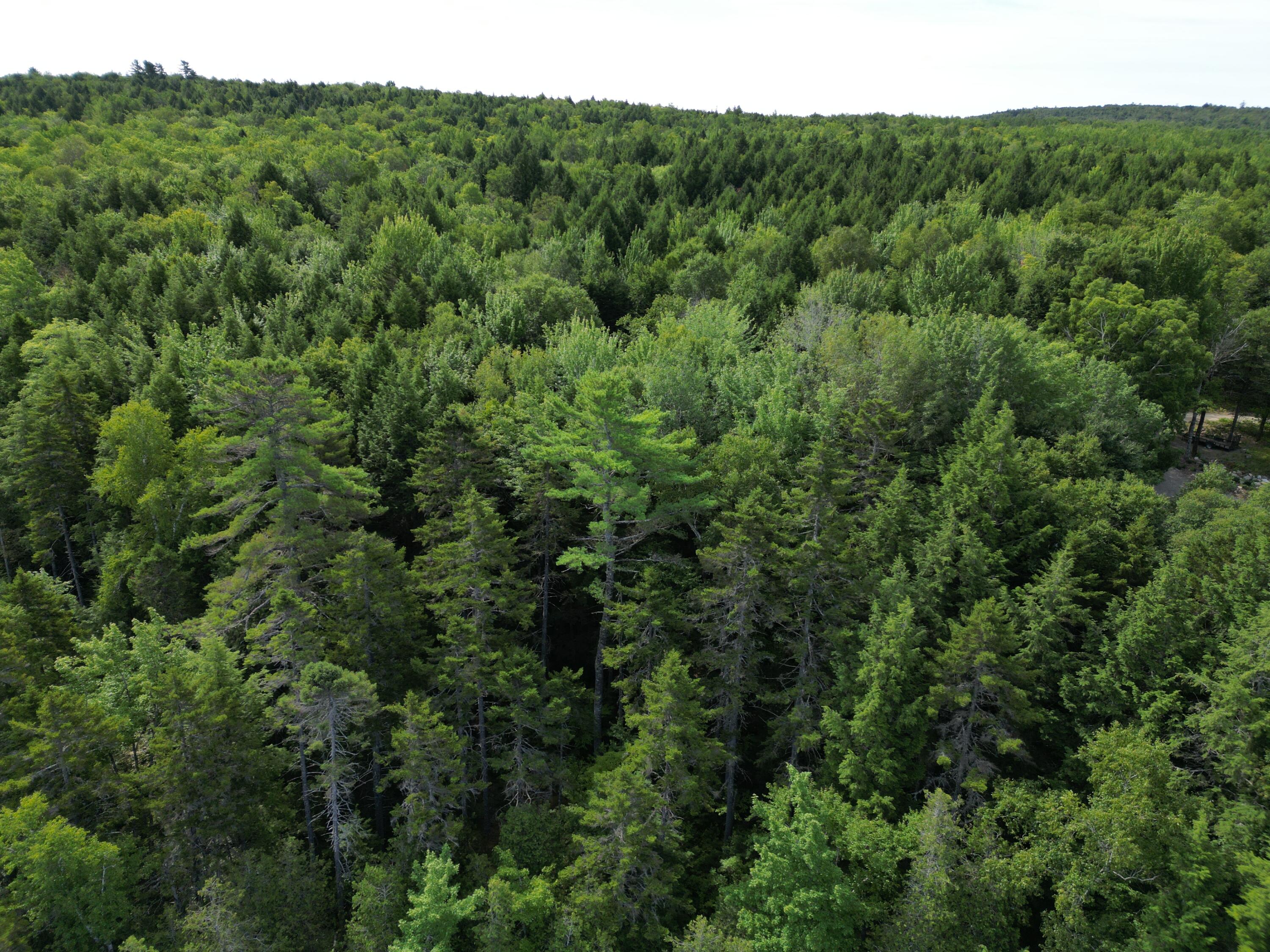 20 Stanhope Mill Road Lincoln, ME 04457 - Photo 8 of 18 DJI_0229
