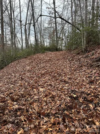 a view of outdoor space with trees