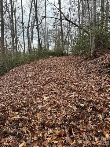 $279,000 | 0 Jackson Cove Parkway West, Unit 2, Mill Spring, NC 28756