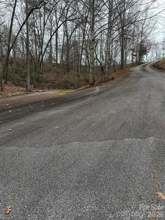 a view of a yard from a window