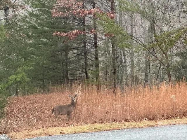 $279,000 | 0 Jackson Cove Parkway West, Unit 2, Mill Spring, NC 28756