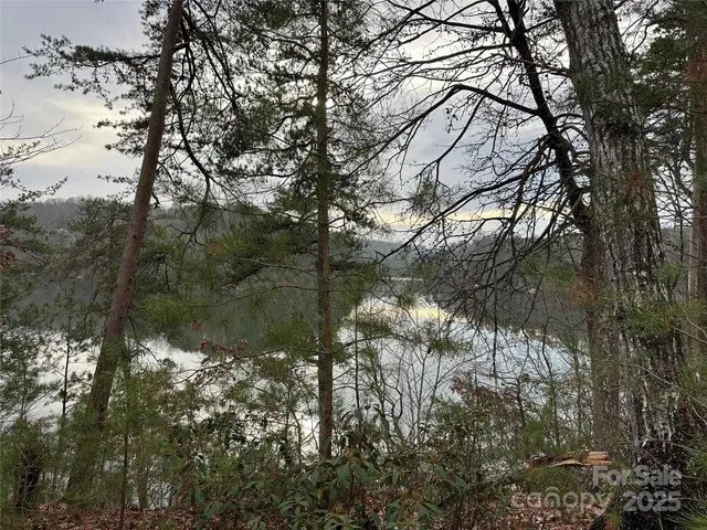 $279,000 | 0 Jackson Cove Parkway West, Unit 2, Mill Spring, NC 28756