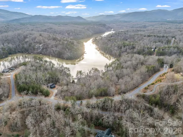 a view of a lake in middle of forest