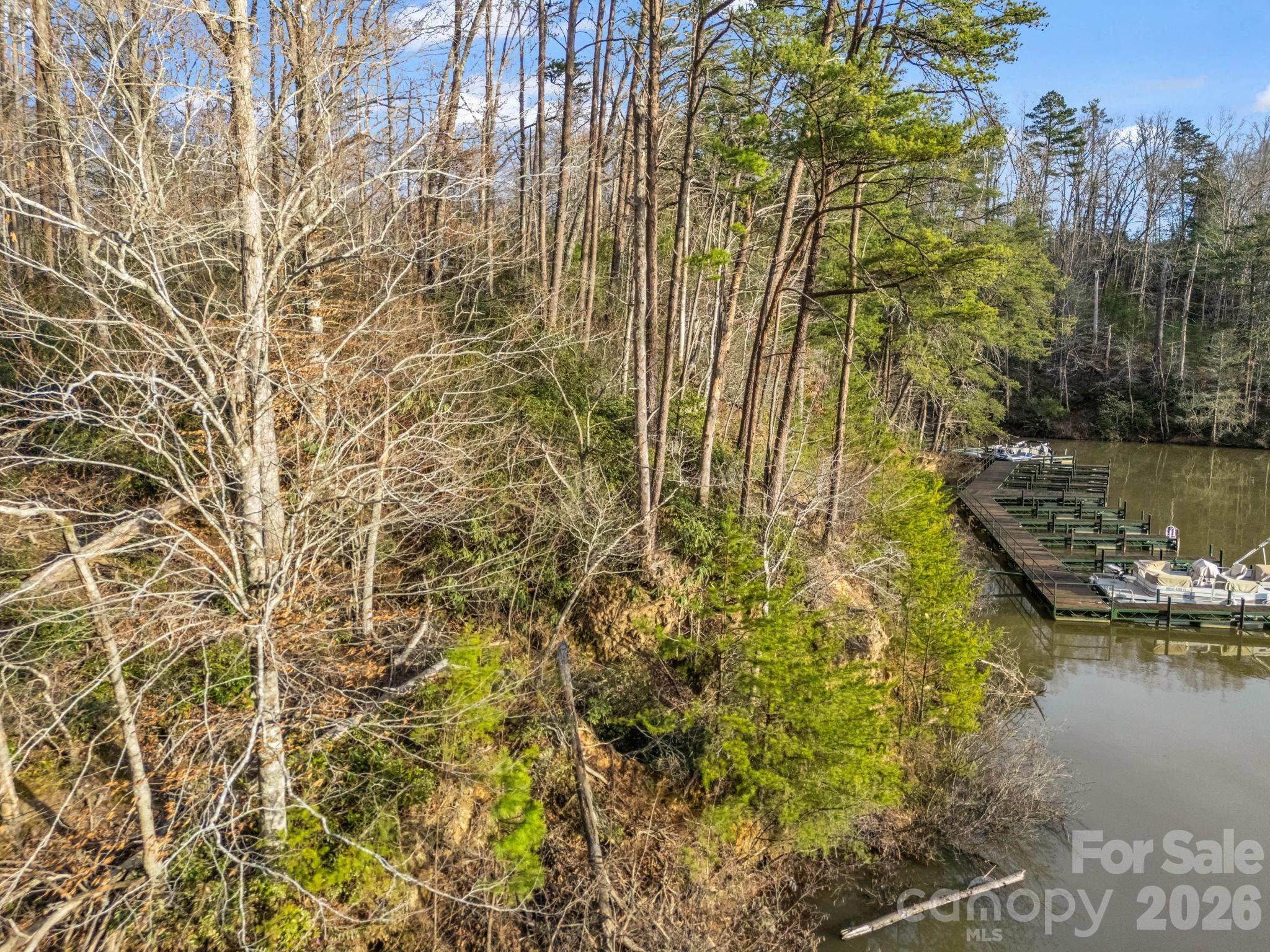 0 Jackson Cove Parkway West, Unit 2 Mill Spring, NC 28756 - Photo 29 of 43