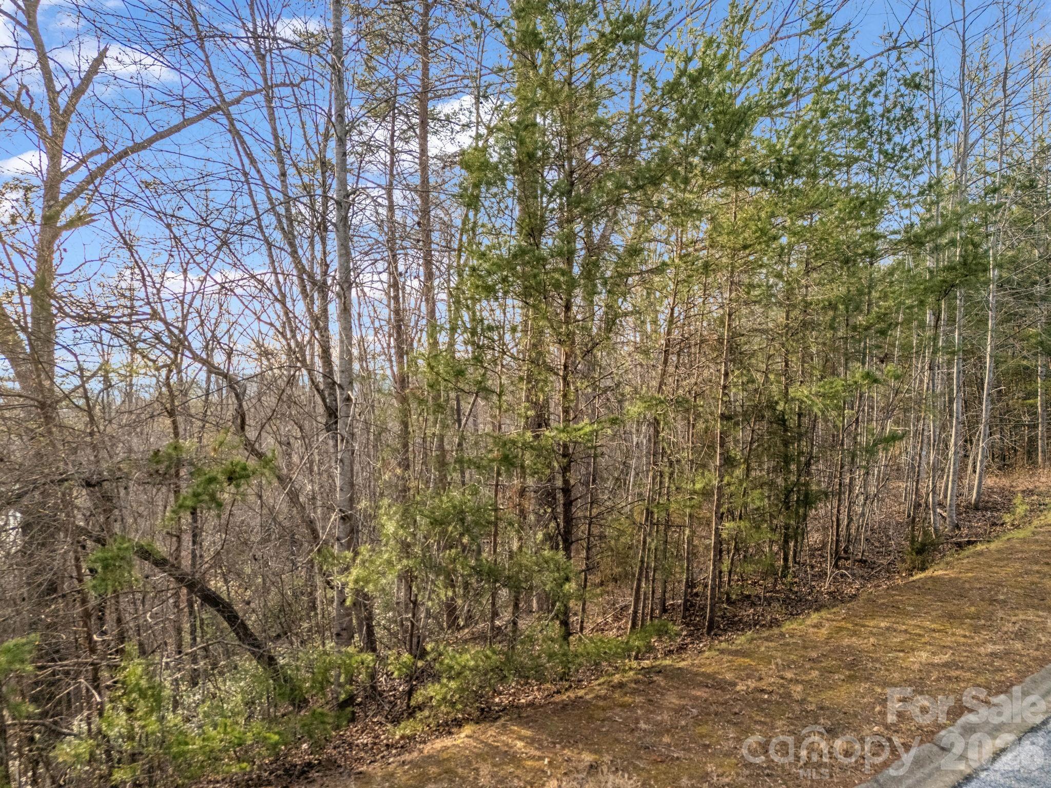 0 Jackson Cove Parkway West, Unit 2 Mill Spring, NC 28756 - Photo 33 of 43 a view of a yard with trees