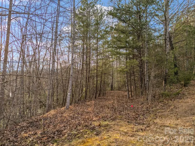 $279,000 | 0 Jackson Cove Parkway West, Unit 2, Mill Spring, NC 28756