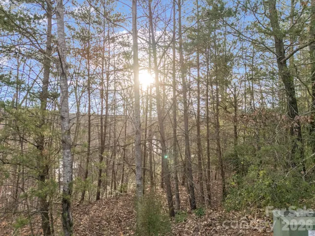 $279,000 | 0 Jackson Cove Parkway West, Unit 2, Mill Spring, NC 28756