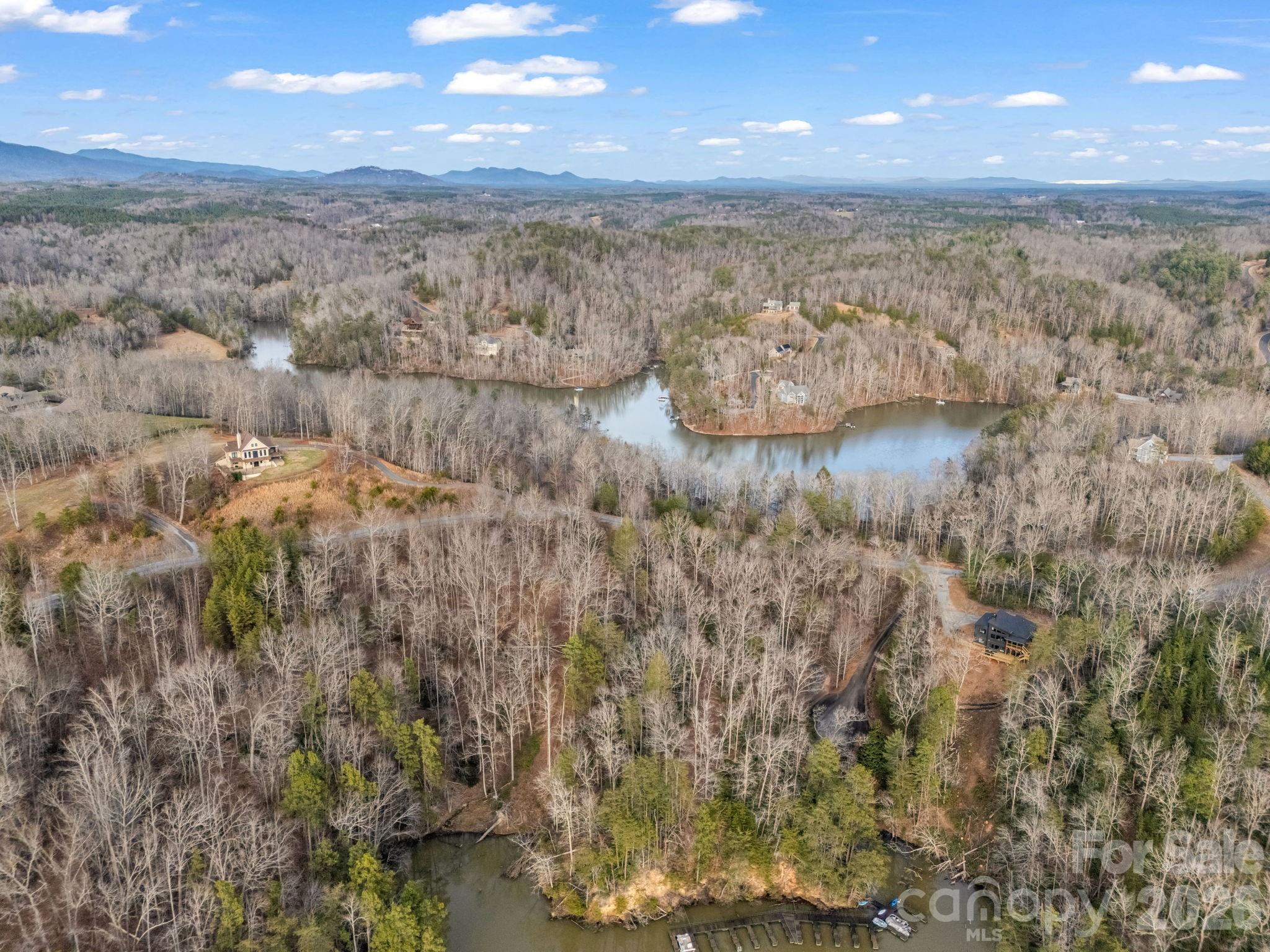 0 Jackson Cove Parkway West, Unit 2 Mill Spring, NC 28756 - Photo 40 of 43 a view of lake and mountain