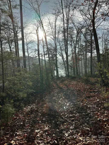 $279,000 | 0 Jackson Cove Parkway West, Unit 2, Mill Spring, NC 28756