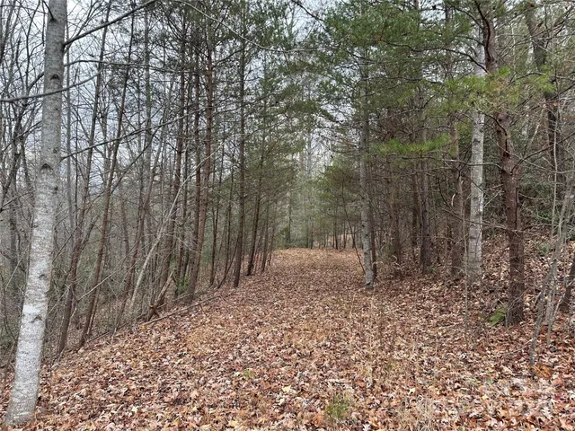 $279,000 | 0 Jackson Cove Parkway West, Unit 2, Mill Spring, NC 28756