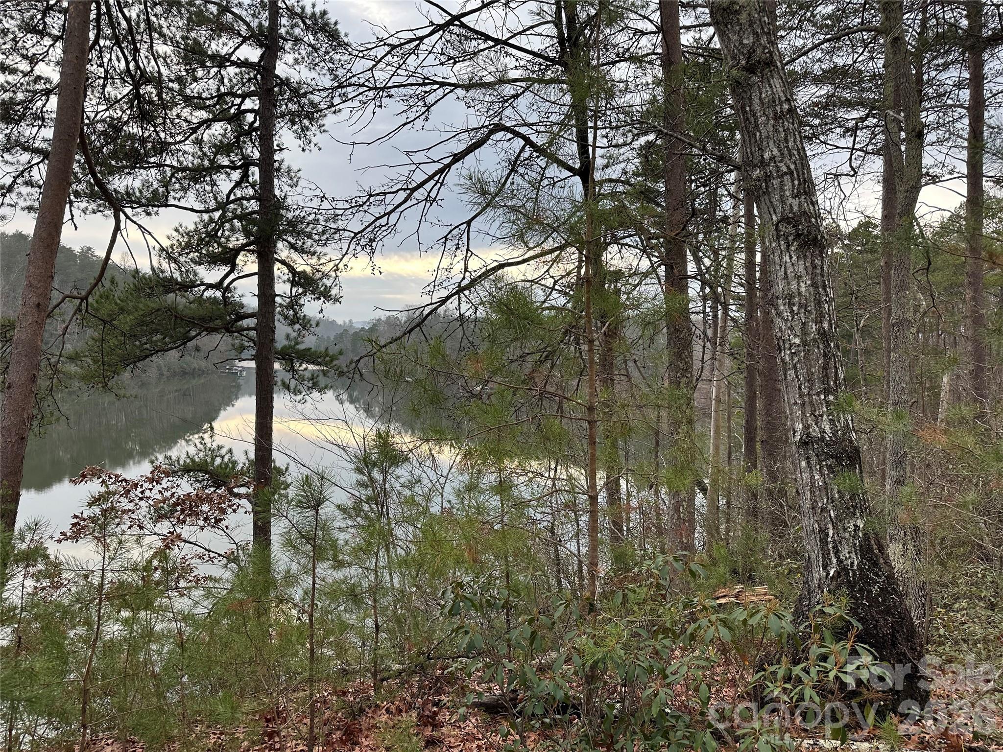0 Jackson Cove Parkway West, Unit 2 Mill Spring, NC 28756 - Photo 5 of 43 a view of lake