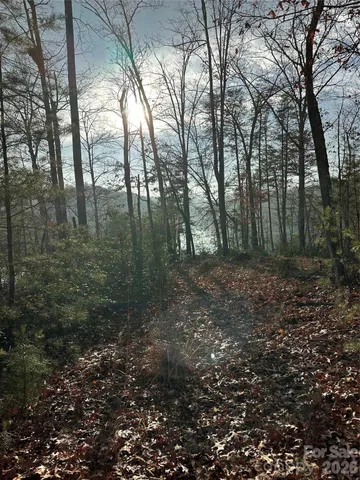 $279,000 | 0 Jackson Cove Parkway West, Unit 2, Mill Spring, NC 28756