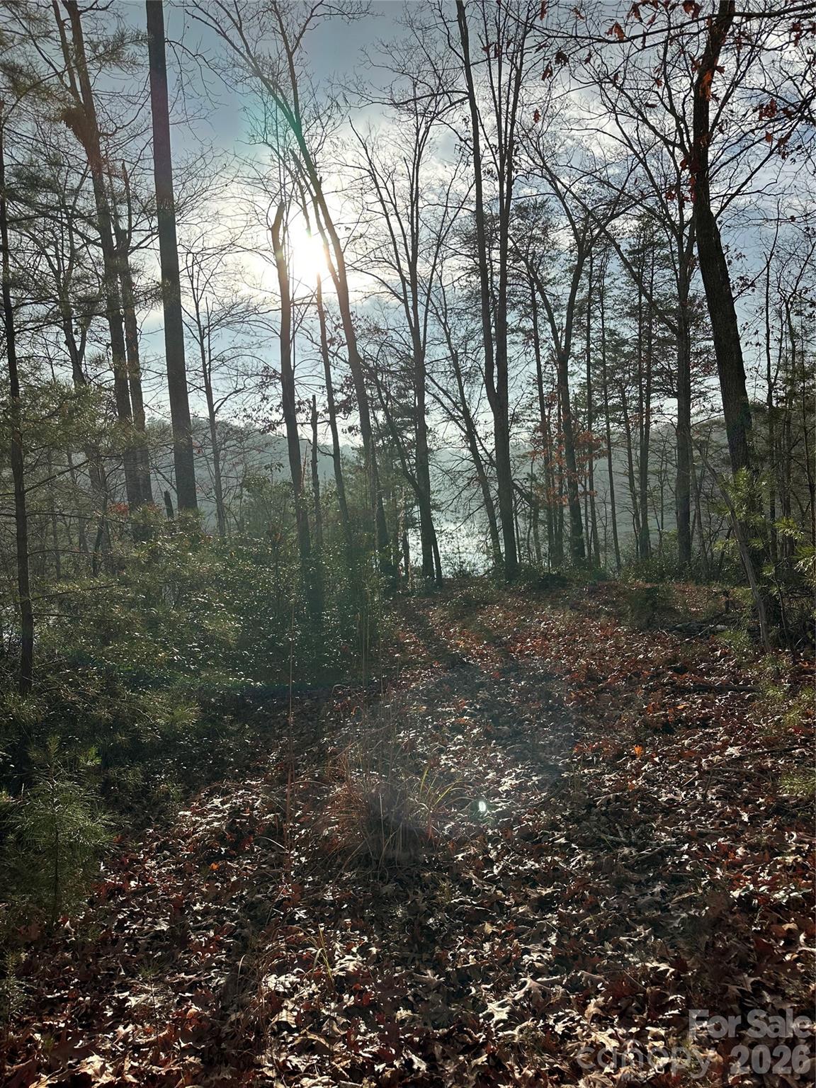 0 Jackson Cove Parkway West, Unit 2 Mill Spring, NC 28756 - Photo 6 of 43 a view of a forest with trees in the background