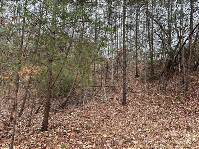 $279,000 | 0 Jackson Cove Parkway West, Unit 2, Mill Spring, NC 28756