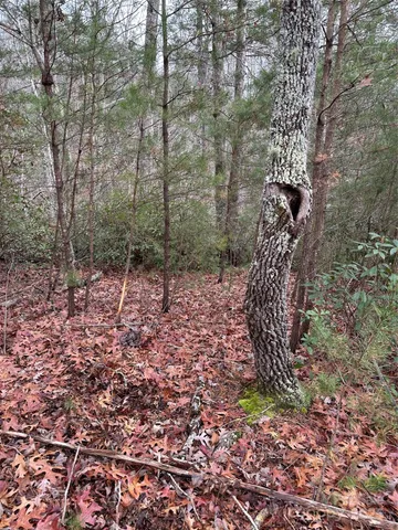 $279,000 | 0 Jackson Cove Parkway West, Unit 2, Mill Spring, NC 28756