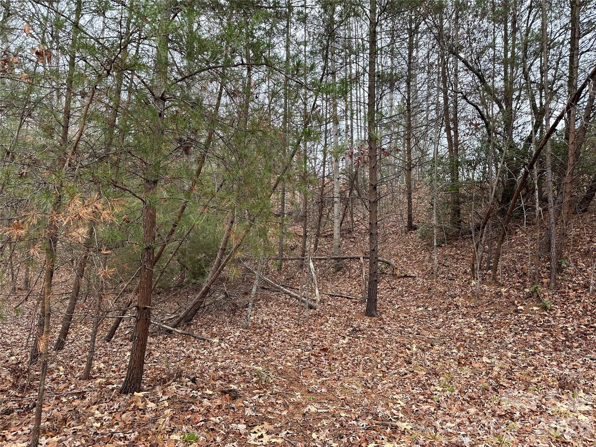 0 Jackson Cove Parkway West, Unit 2 Mill Spring, NC 28756 - Photo 8 of 43 a view of outdoor space