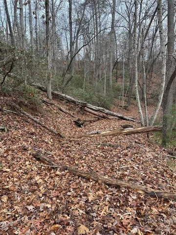 $279,000 | 0 Jackson Cove Parkway West, Unit 2, Mill Spring, NC 28756