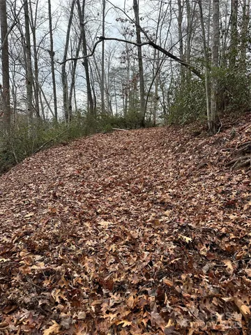 $279,000 | 0 Jackson Cove Parkway West, Unit 2, Mill Spring, NC 28756