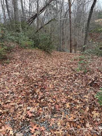 $279,000 | 0 Jackson Cove Parkway West, Unit 2, Mill Spring, NC 28756