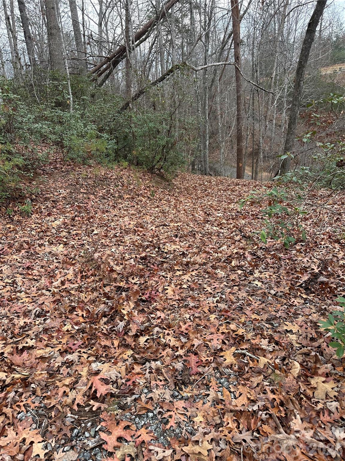 0 Jackson Cove Parkway West, Unit 2 Mill Spring, NC 28756 - Photo 10 of 43