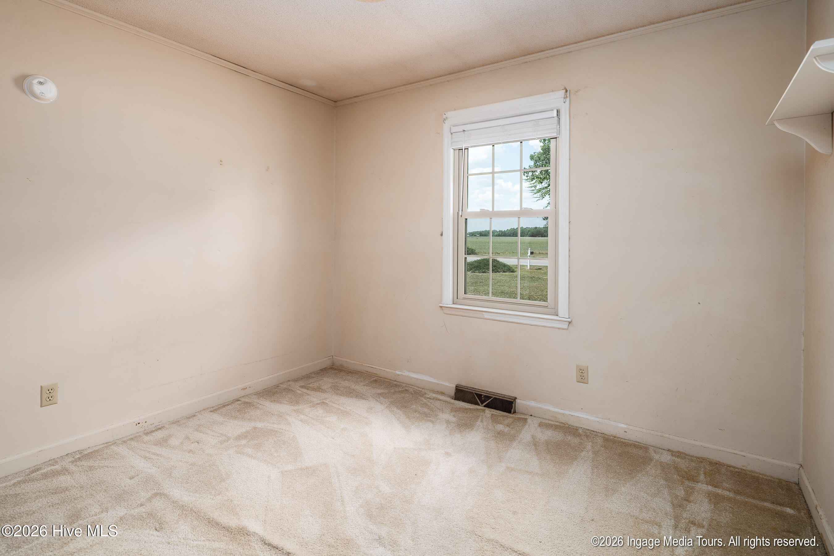 4824 Four Way Road Hookerton, NC 28538 - Photo 29 of 53 20260521 MLS K_Holloman 4824 Four Way Rd
