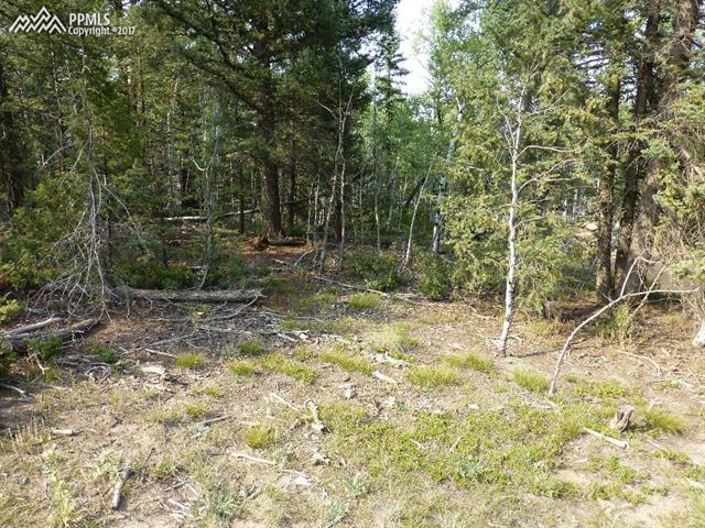 15 Mt Elbert Road Florissant, CO 80816 - Photo 6 of 8 Gallery Image 6