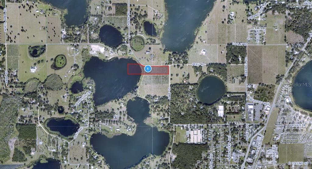 Peru Road Umatilla, FL 32784 - Photo 4 of 6 Gallery Image 4