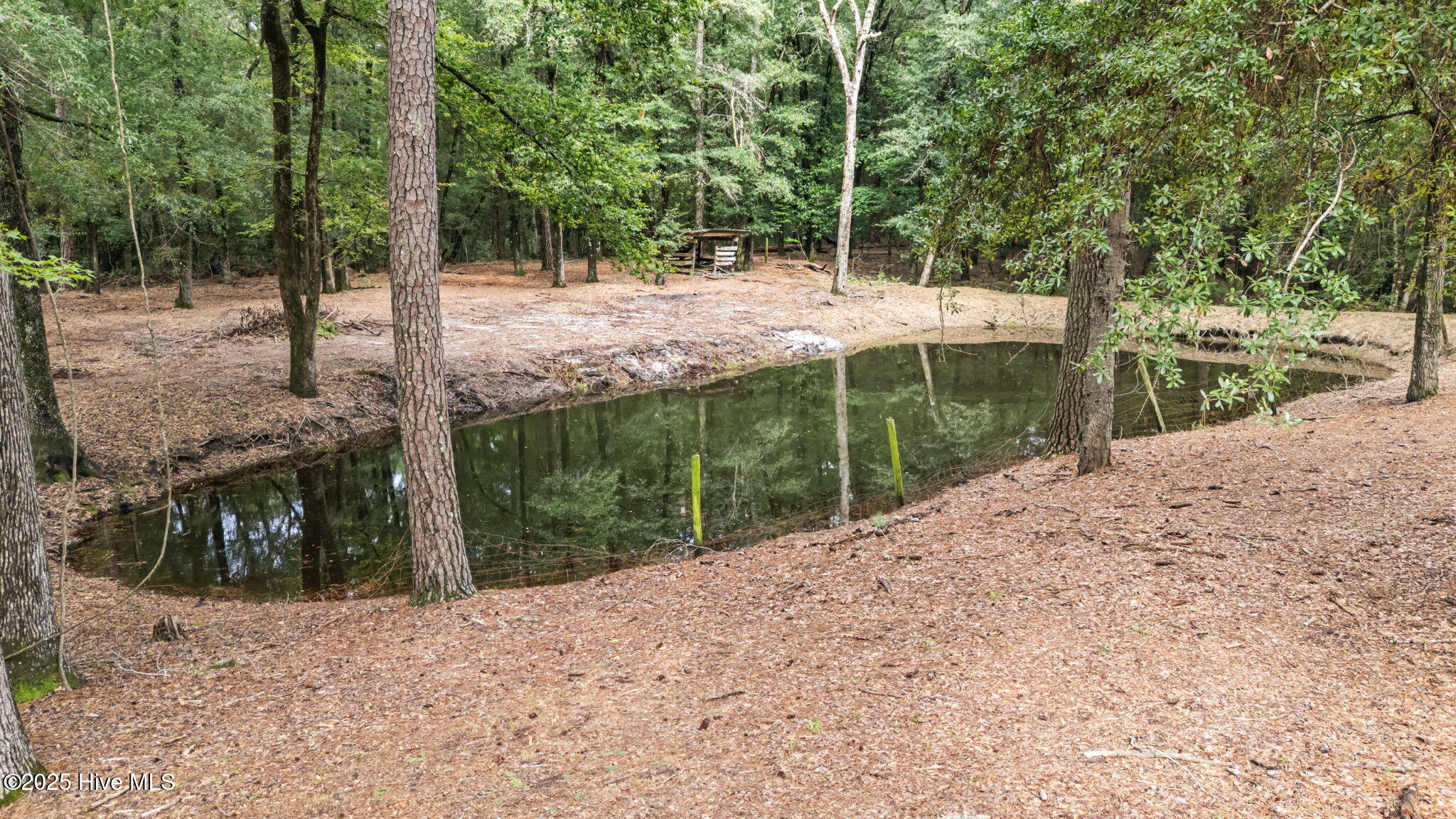 1881 White Oak Road Kelly, NC 28448 - Photo 35 of 41 35-web-or-mls-DJI_20250807164438_0595_D