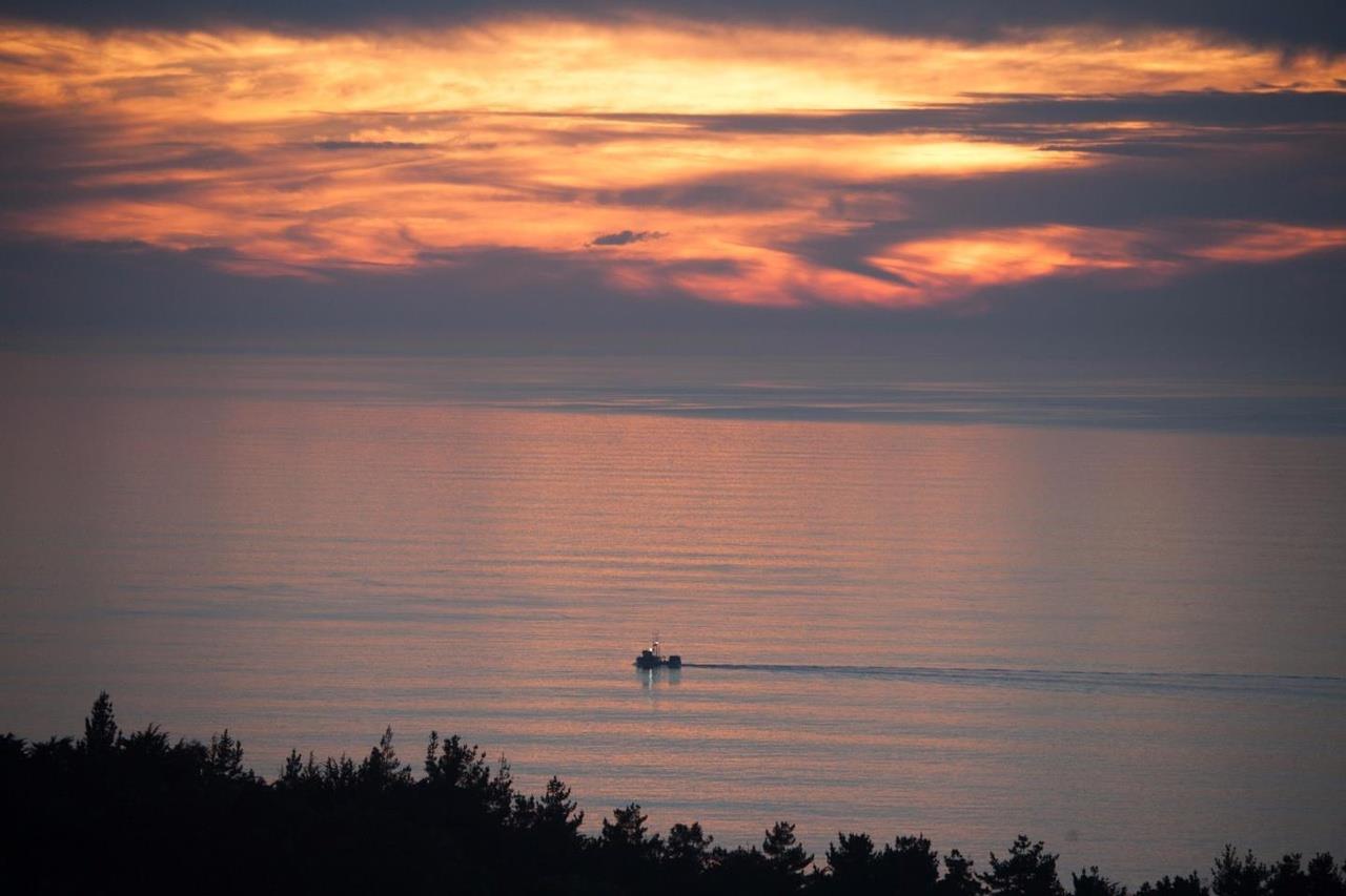 444 Manor Drive Pacifica, CA 94044 - Photo 40 of 70