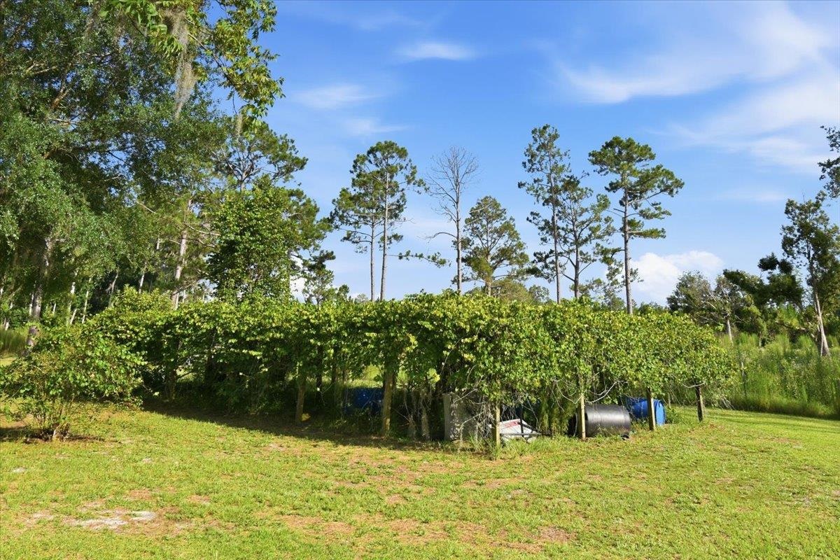 4567 Loren Henderson Road Perry, FL 32347 - Photo 54 of 57
