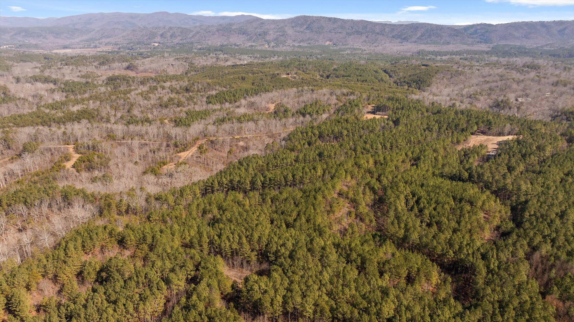 3 Conniston Road Chatsworth, GA 30705 - Photo 11 of 21 09-Tract 3-9