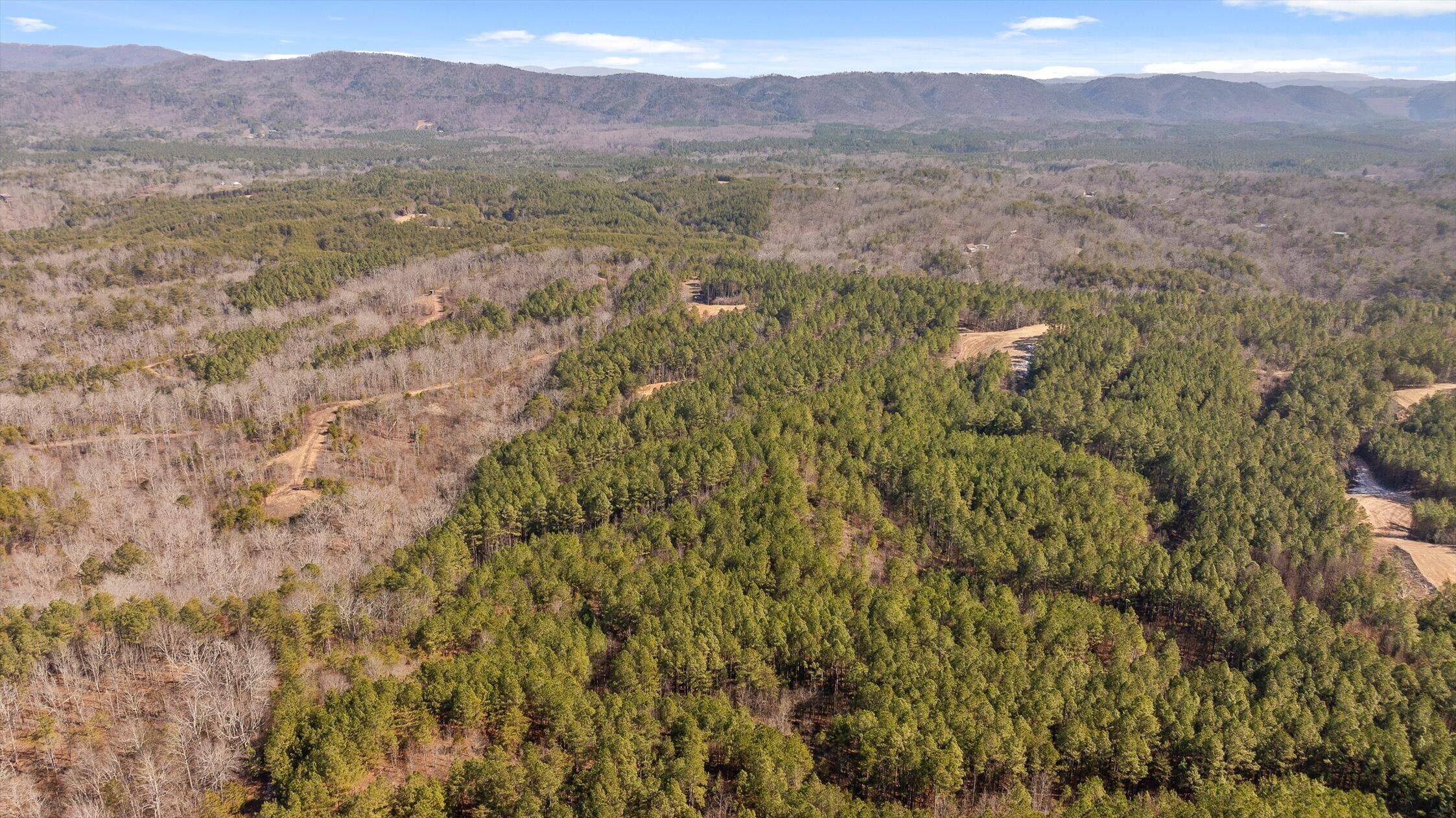 3 Conniston Road Chatsworth, GA 30705 - Photo 12 of 21 10-Tract 3-10