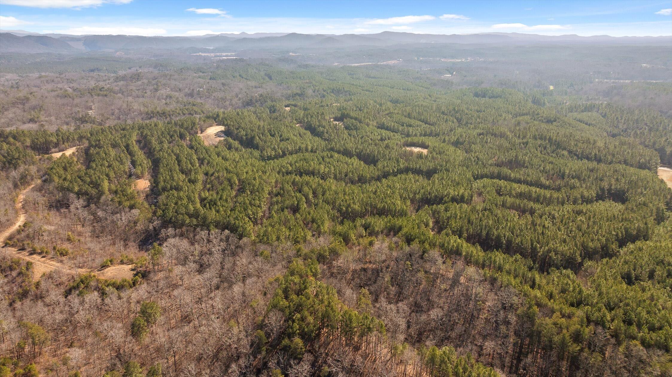 3 Conniston Road Chatsworth, GA 30705 - Photo 13 of 21 11-Tract 3-11