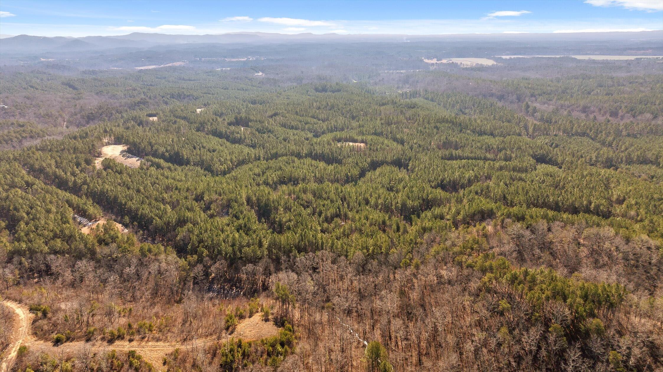 3 Conniston Road Chatsworth, GA 30705 - Photo 14 of 21 12-Tract 3-12