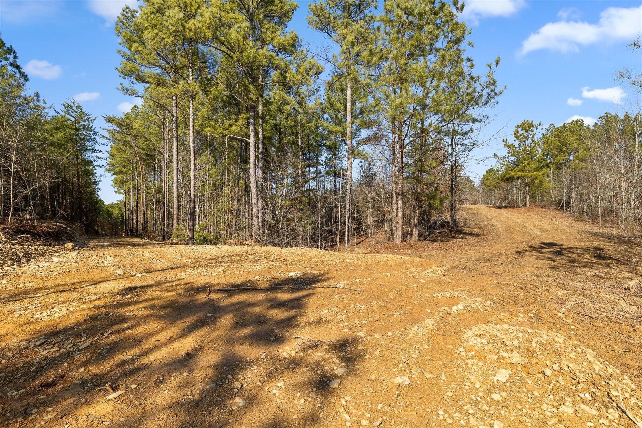 3 Conniston Road Chatsworth, GA 30705 - Photo 5 of 21 03-Tract 3-3
