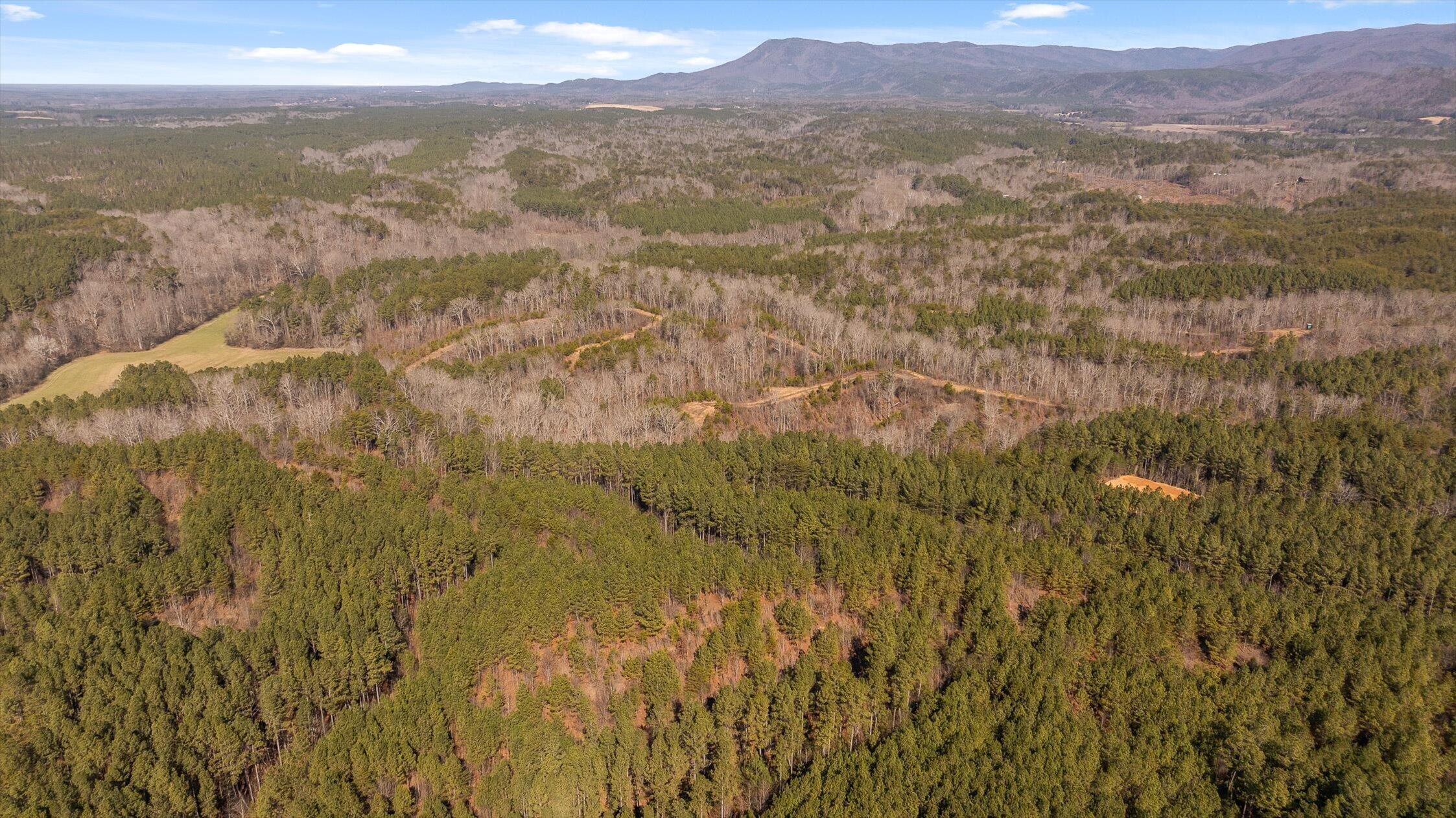 3 Conniston Road Chatsworth, GA 30705 - Photo 10 of 21 08-Tract 3-8