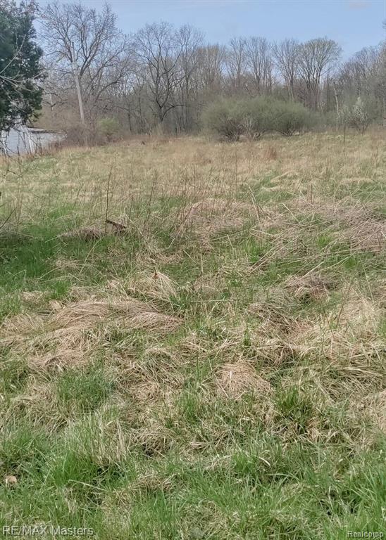0 Laplaisance Road La Salle, MI 48145 - Photo 3 of 4