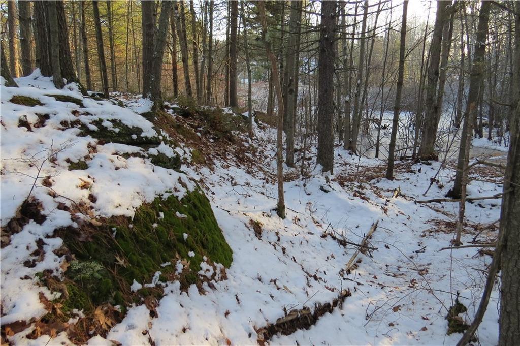 0 Kings Point Road West Bath, ME 04530 - Photo 5 of 22 Mossy ledge near little pond.