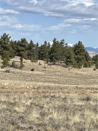 $30,000 | 0 Guipago Trail, Hartsel, CO 80449