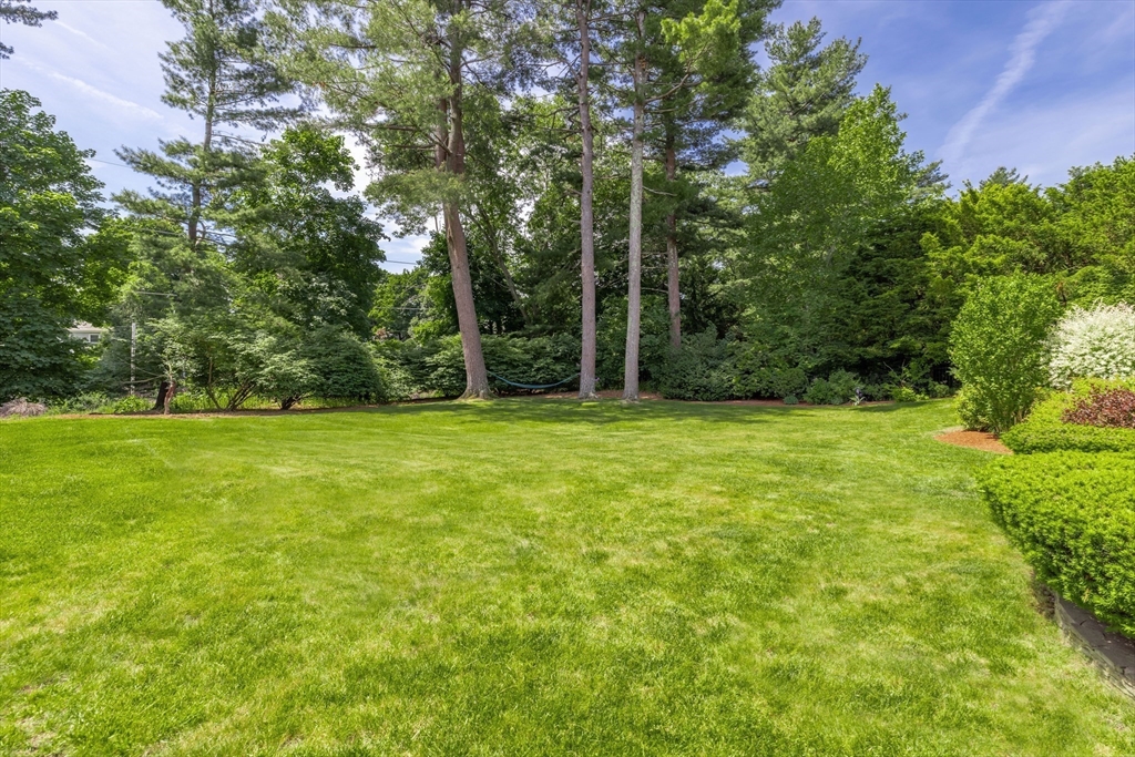 212 Broad Meadow Road Needham, MA 02492 - Photo 30 of 33