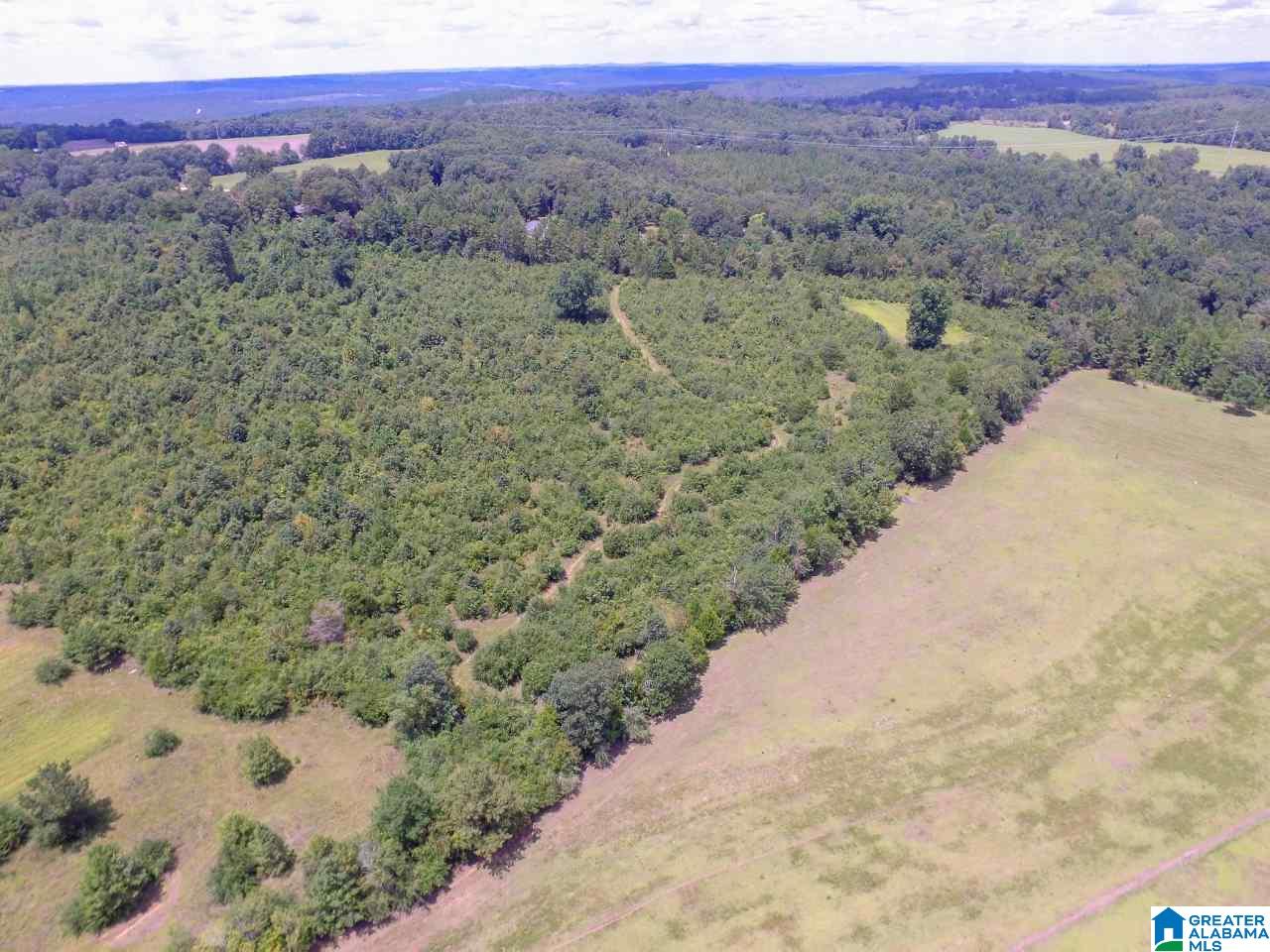 3647 County Road 22 Jones, AL 36749 - Photo 42 of 43
