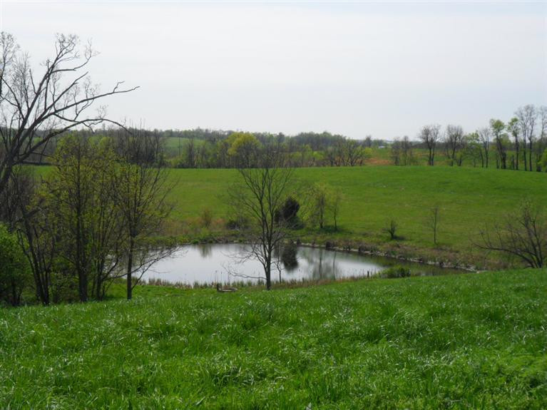266 Sharpsburg Road Carlisle, KY 40311 - Photo 7 of 11 Photo 7