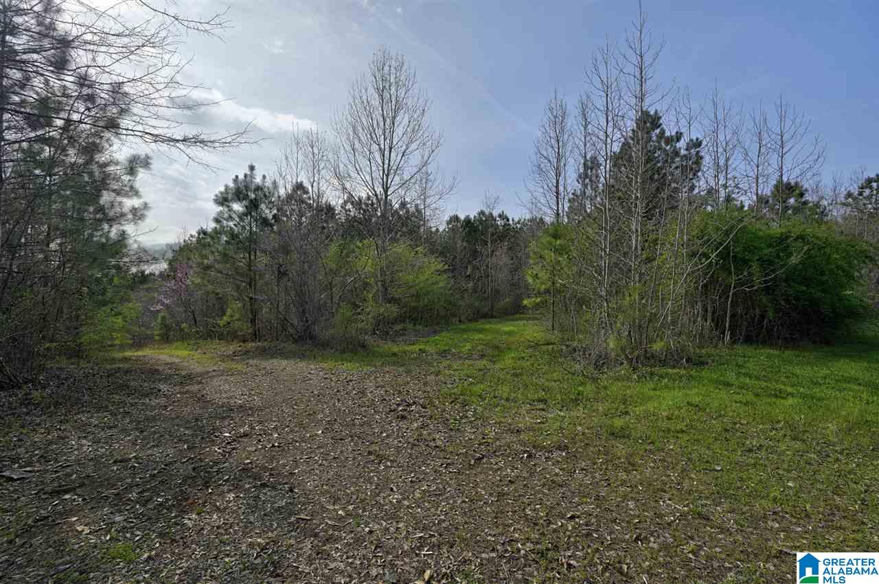 0 Joy Road Blountsville, AL 35031 - Photo 2 of 22