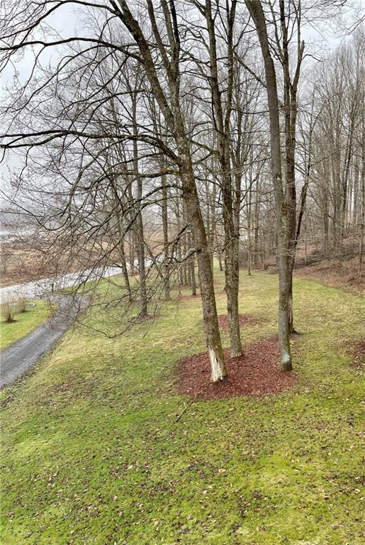 34030 State Rte 27 Guys Mills, PA 16327 - Photo 5 of 21 a view of a yard with a tree