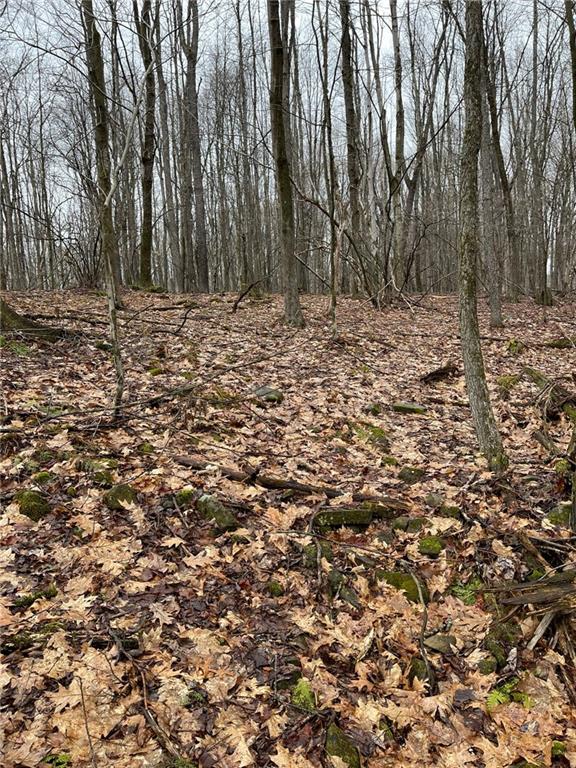 34030 State Rte 27 Guys Mills, PA 16327 - Photo 6 of 21 a view of a yard