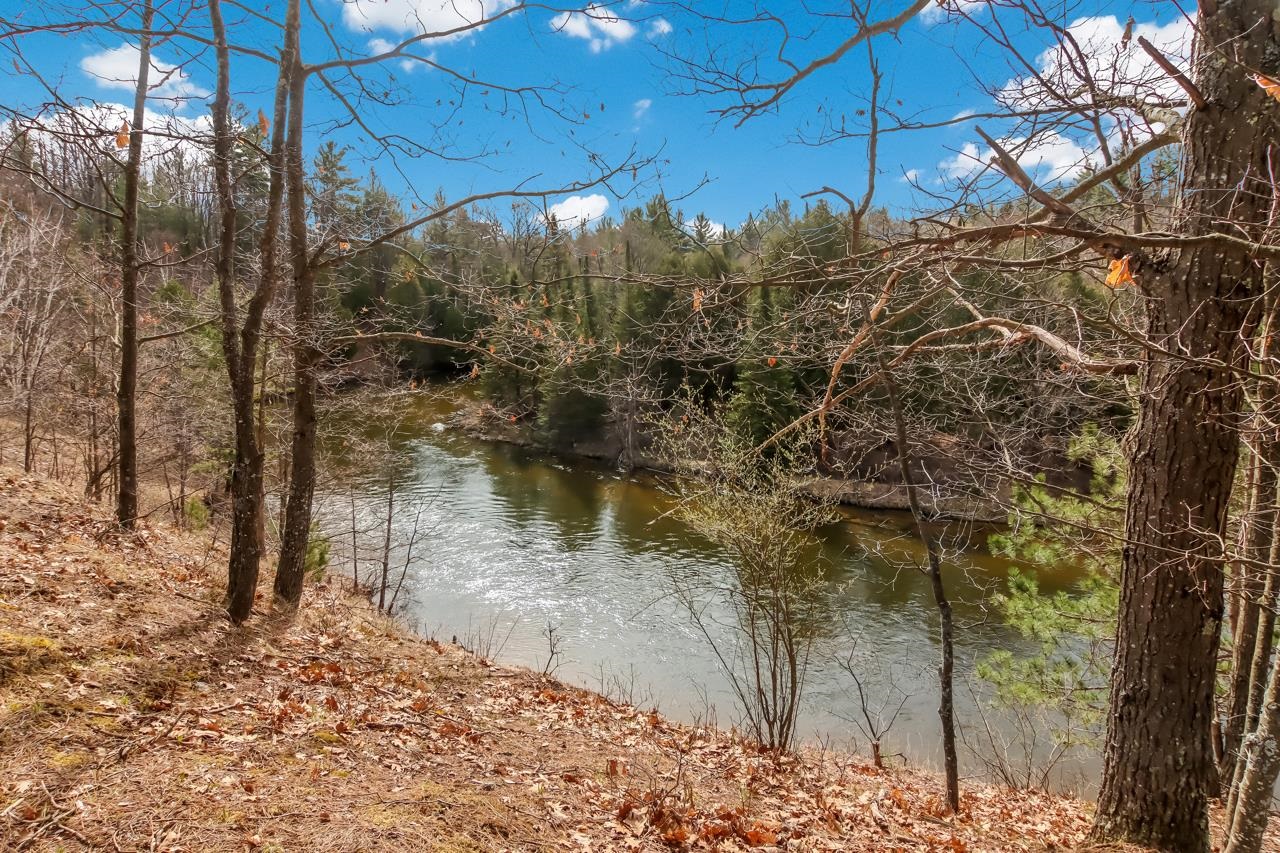 11101 West Fahrney Road Fife Lake, MI 49633 - Photo 2 of 36