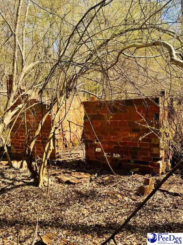Sherrill Road Wallace, SC 29596 - Photo 18 of 21 Gallery Image 18