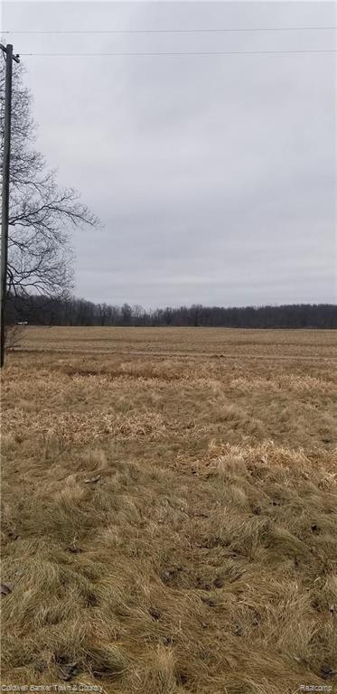 V/l Stow Road Webberville, MI 48892 - Photo 4 of 7