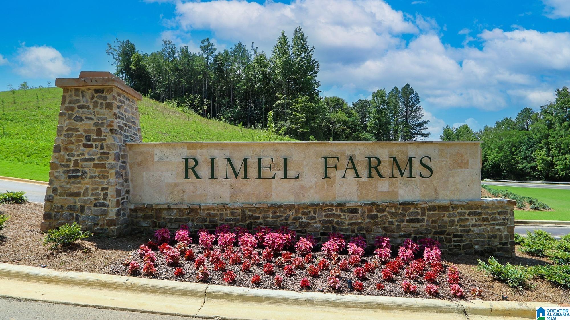 540 Rimel Farms Parkway Kimberly, AL 35091 - Photo 19 of 21